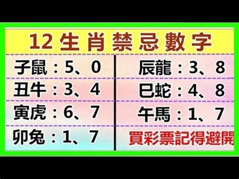 吉祥數字|12生肖忌諱數字、吉利數字公開！這些數字和年分居然是12生肖的。